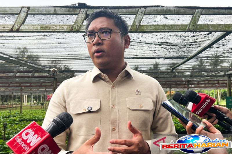 Wamentan Pastikan Ketersediaan dan Harga Pangan Stabil Menjelang Idul Adha 1 wamentan pastikan stok dan harga pangan terkendali jelang idul adha
