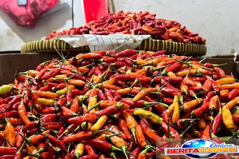 bapanas harga cabai rawit rp50963kg bawang merah rp39642kg