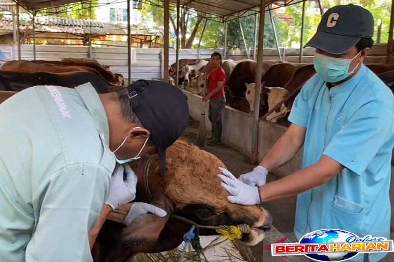 dki kemarin kurban tak layak konsumsi hingga kebakaran bangkai bus