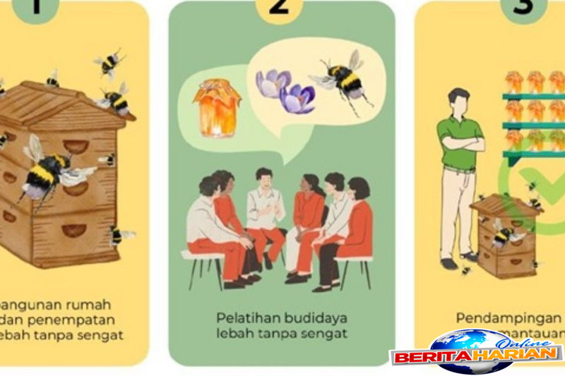 program edubee ui kembangkan lebah tanpa sengat di pesantren klaten