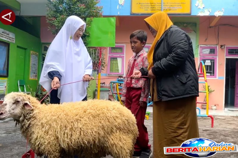 siswa kelas 3 sd di lumajang kurban domba hasil ternaknya