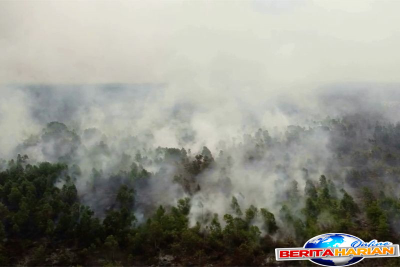 50 hektare lahan gambut di mempawah timur ludes terbakar