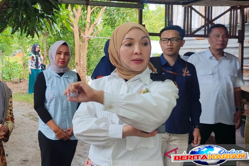 anggota dpr tekankan solusi terkait curhat guru honorer bengkulu