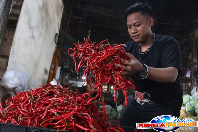 bapanas harga cabai rawit rp58306kg bawang merah rp42122kg