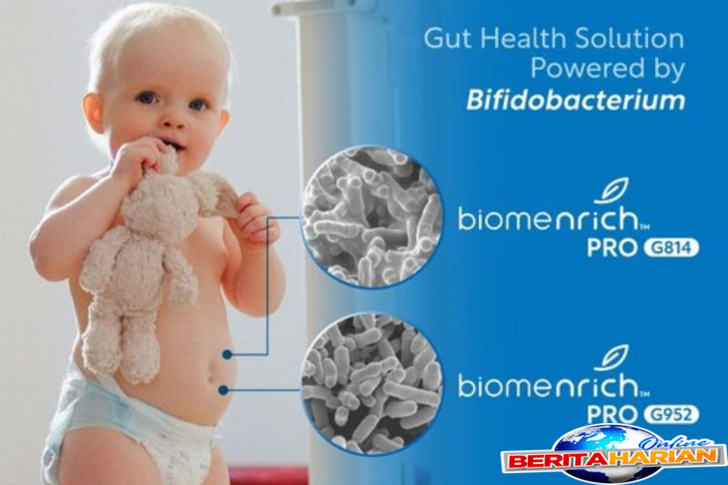 BiomeNrich™ PRO G814 & PRO G952: Peluncuran Terbaru Solusi 'Bifidobacterium' di Pasar Suplemen Asia Tenggara 1 biomenrich pro g814 pro g952 solusi bifidobacterium yang kini menyasar pasar suplemen kesehatan di asia tenggara