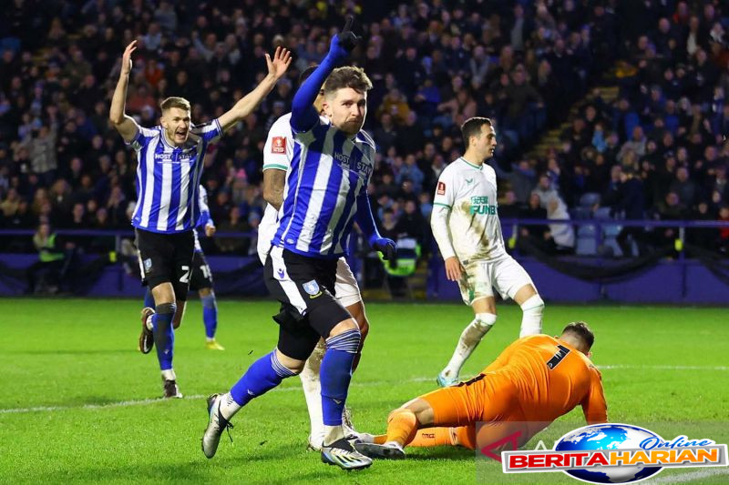 ceo pfa sebut para pemain sheffield wednesday dapat putuskan kontrak