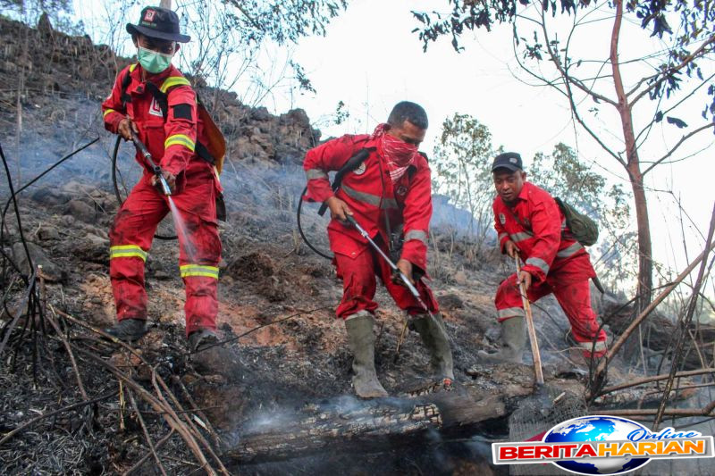 dalam dua hari sekitar 30 hektare lahan hangus dalam musibah karhutla di sumut