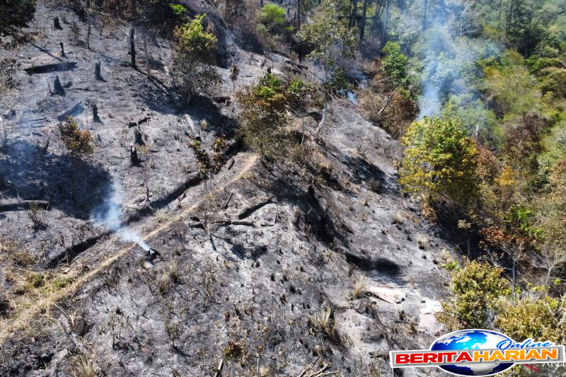Dua Kabupaten di Sumatera Barat Umumkan Status Tanggap Darurat Kebakaran Hutan 1 dua kabupaten di sumbar tetapkan status tanggap darurat karhutla