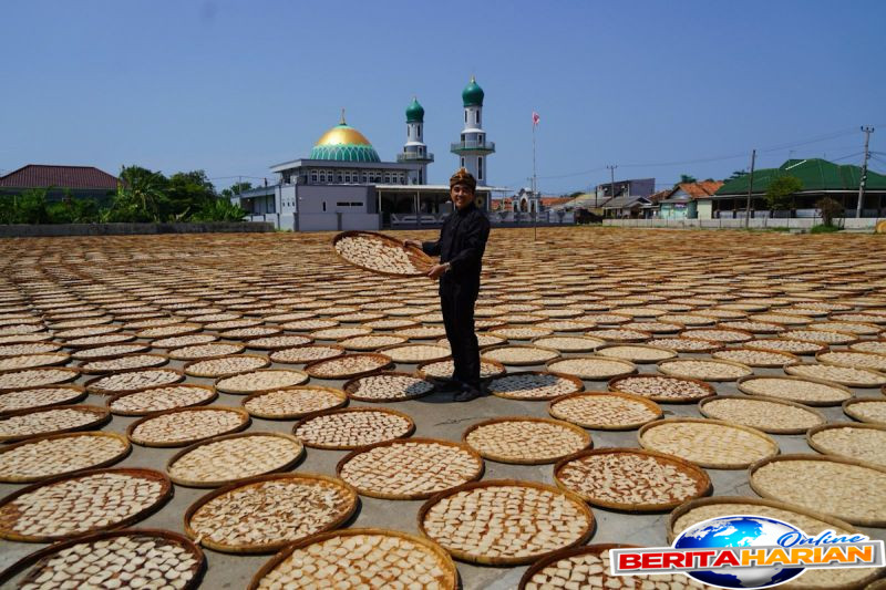 guru besar ipb pemerintah perlu buat peta jalan hilirisasi kelautan