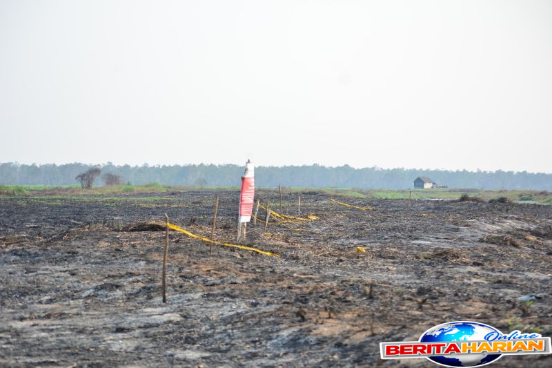 klh menang gugatan rp721 miliar perusahaan wajib pulihkan lingkungan