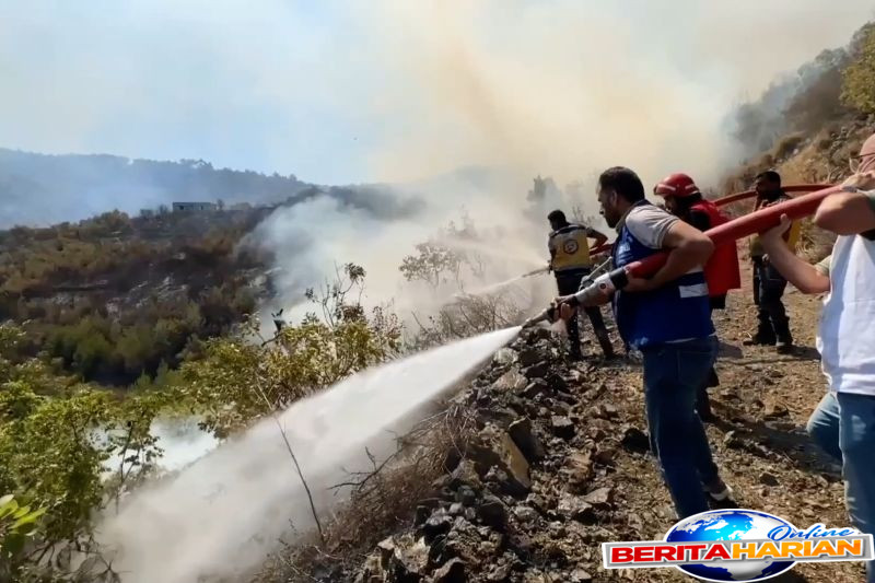 lebih dari 7000 hektare hutan di suriah terbakar