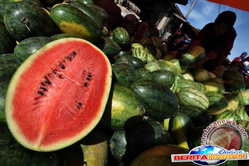 manfaat semangka membuang cairan hingga dukung kesehatan jantung