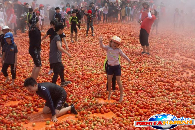 album asia menengok keseruan festival tomat hwacheon korea selatan