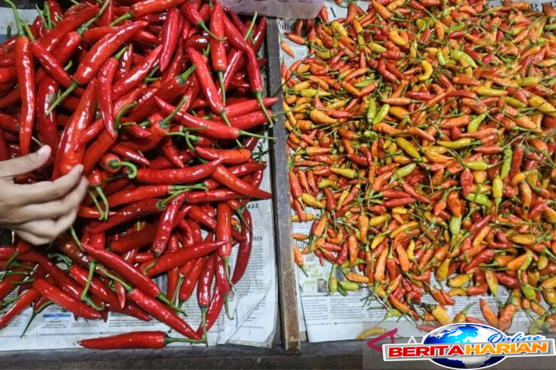 Harga Cabai Rawit dan Bawang Merah Terbaru Menurut Bapanas 1 bapanas catat harga cabai rawit rp45485kg bawang merah rp47658kg