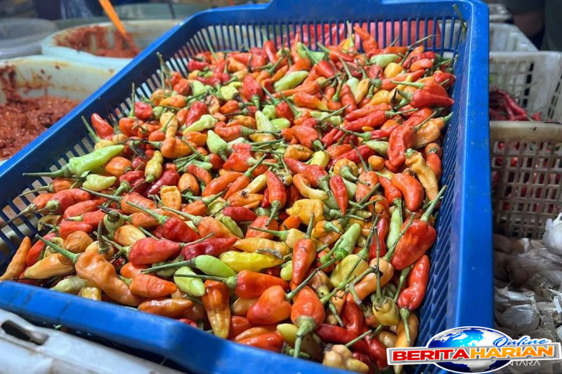 bapanas harga bawang merah rp48737kg cabai rawit rp49727kg