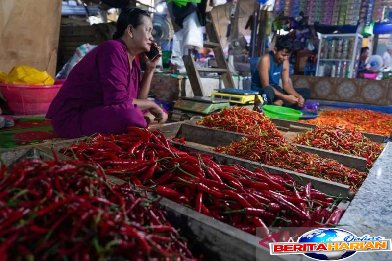 bapanas harga cabai rawit rp49768kg bawang merah rp48660kg