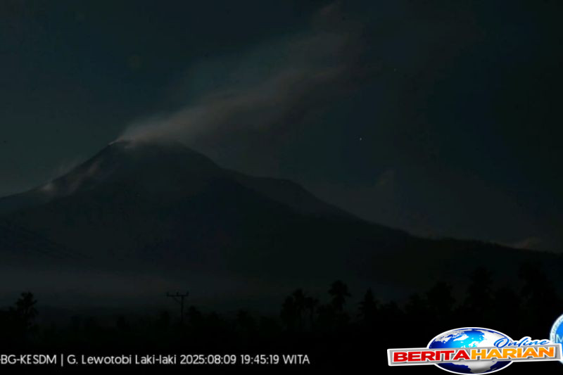 Gunung Lewotobi Laki-laki di Flotim Muntahkan Abu Setinggi 800 Meter 1 gunung lewotobi laki laki di flotim lontarkan abu setinggi 800 meter