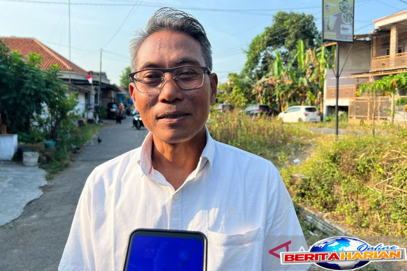 petani cengkuang kehadiran bulog ubah dinamika harga peran tengkulak