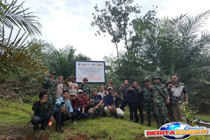 satgas pkh kejati sumbar tertibkan 8000 hektare lahan hutan